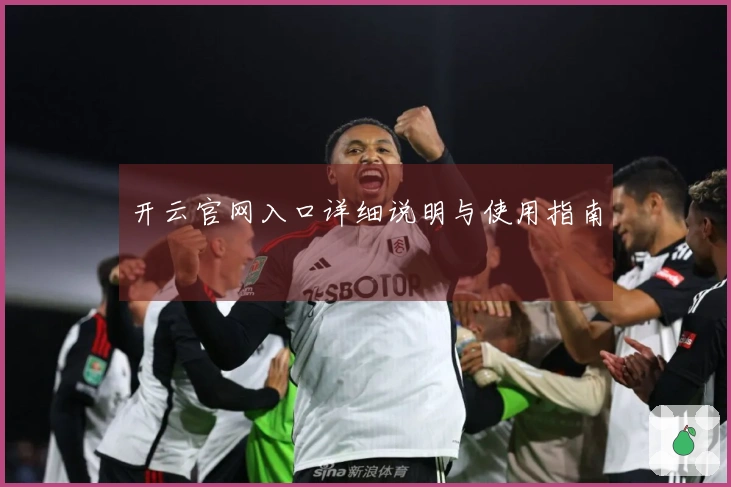 开云官网入口详细说明与使用指南