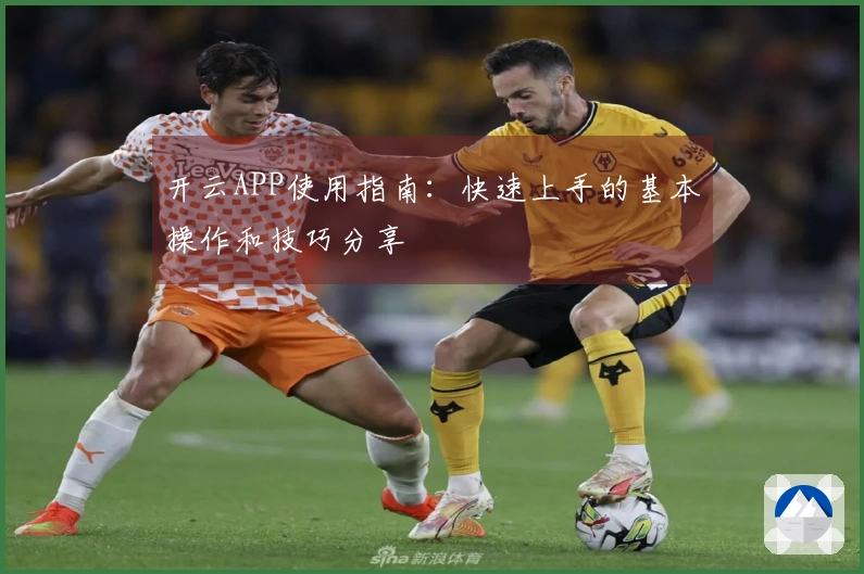 开云APP使用指南：快速上手的基本操作和技巧分享